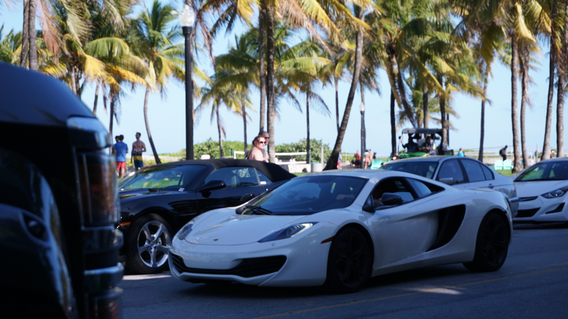 Illustration for article titled Florida, Seen Through The Eyes Of A Car Enthusiast